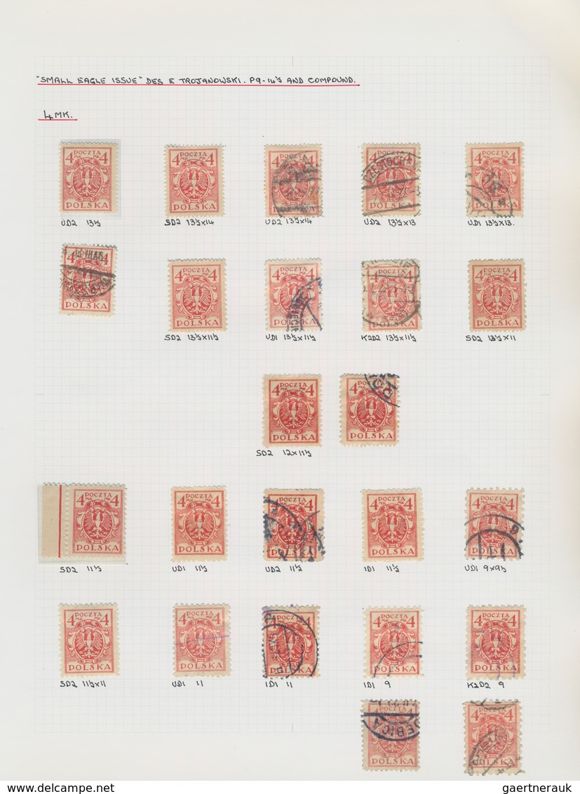 Polen: 1919/1923, specialised collection of apprx. 1.220 stamps neatly arranged on album pages in a