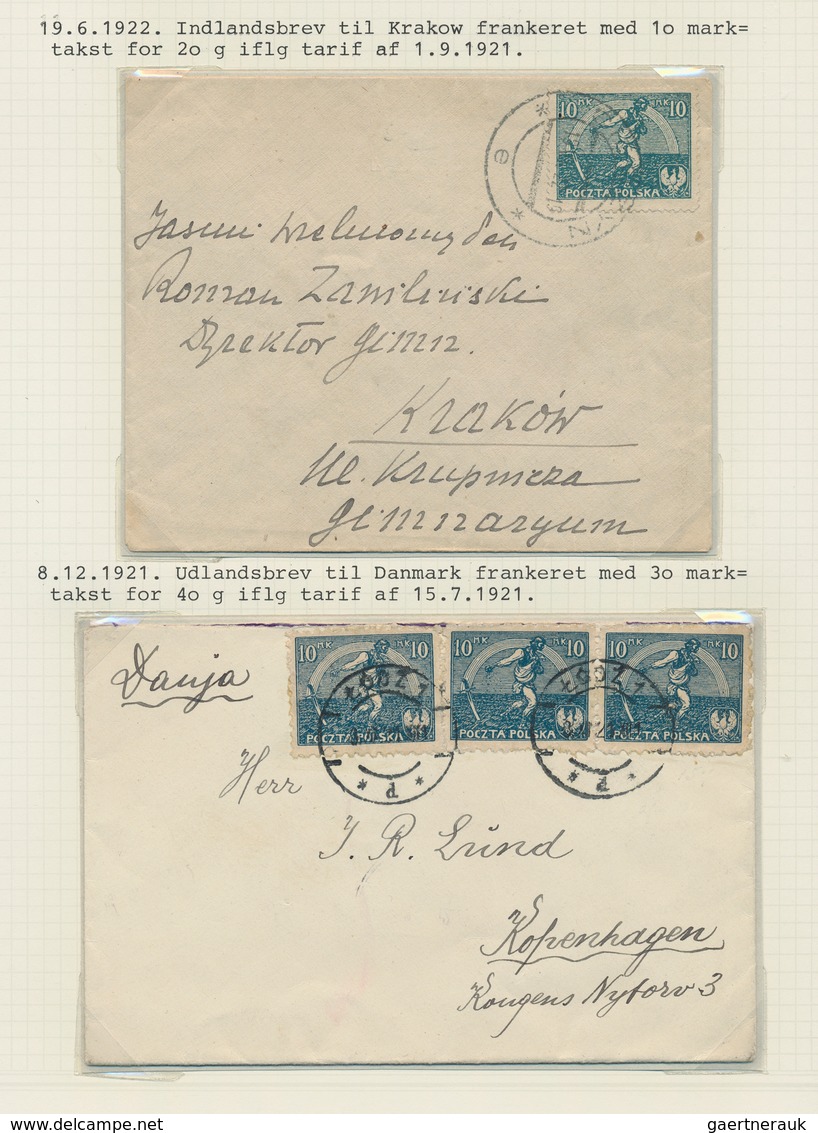 Polen: 1921/1925, Spezialised Collection On Self Constructed Album Pages Reches From Farmer, Koperni - Cartas & Documentos