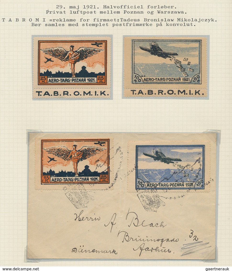 Polen: 1921/1925, Spezialised Collection On Self Constructed Album Pages Reches From Farmer, Koperni - Cartas & Documentos