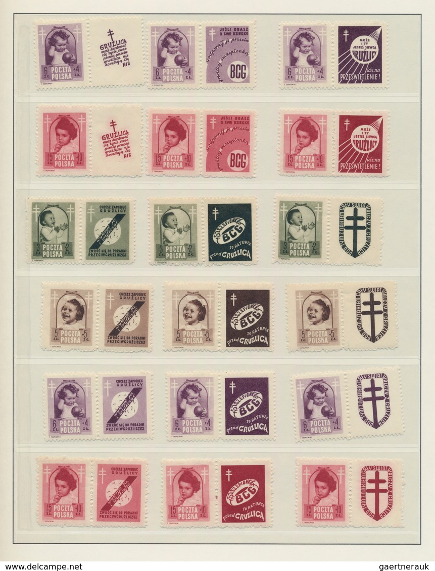 Polen: 1944/1959, a splendid MNH collection in two Lindner albums, well collected throughout with pl