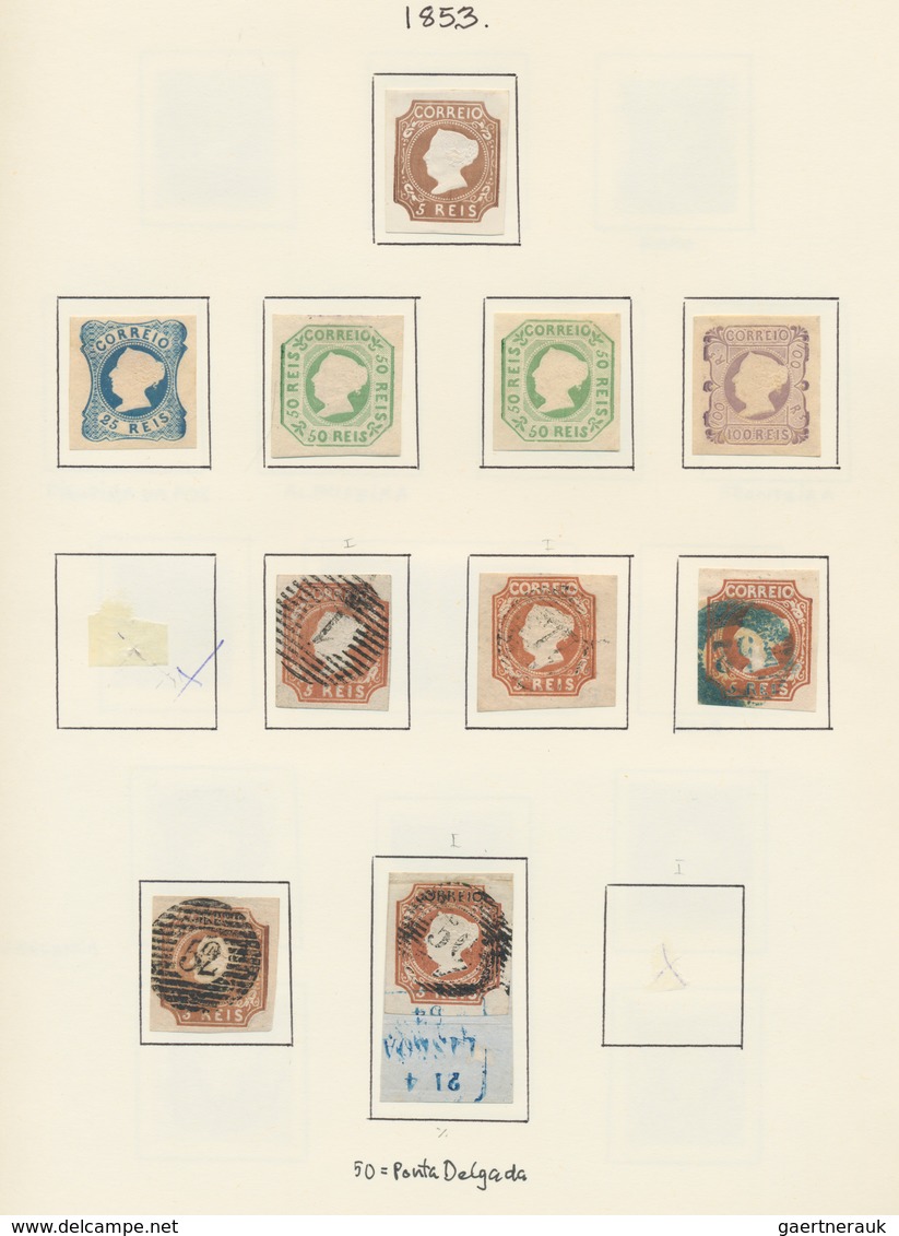 Portugal: 1853/1960, Comprehensive Mint And Used Specialised Collection On Apprx. 350 Album Pages In - Sonstige & Ohne Zuordnung