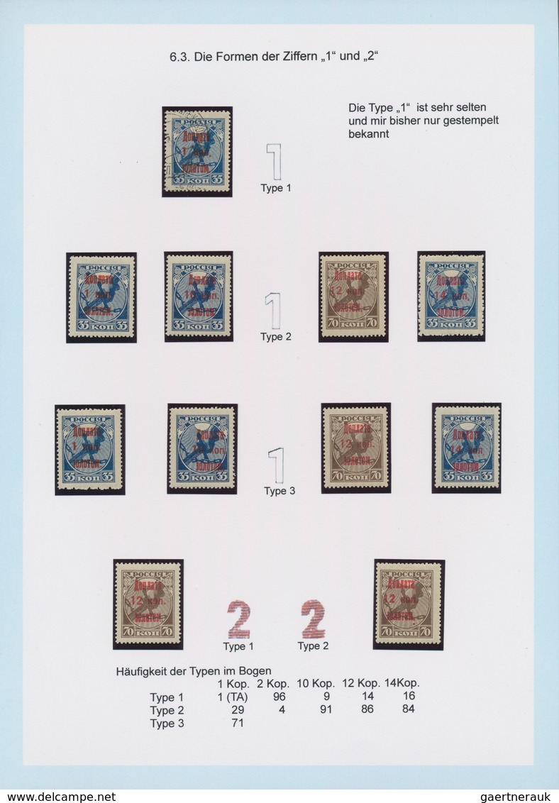 Russland: 1924/25 Amazing And Highly Specialized Collection Of Postage Due Stamps Of All Three Issue - Briefe U. Dokumente