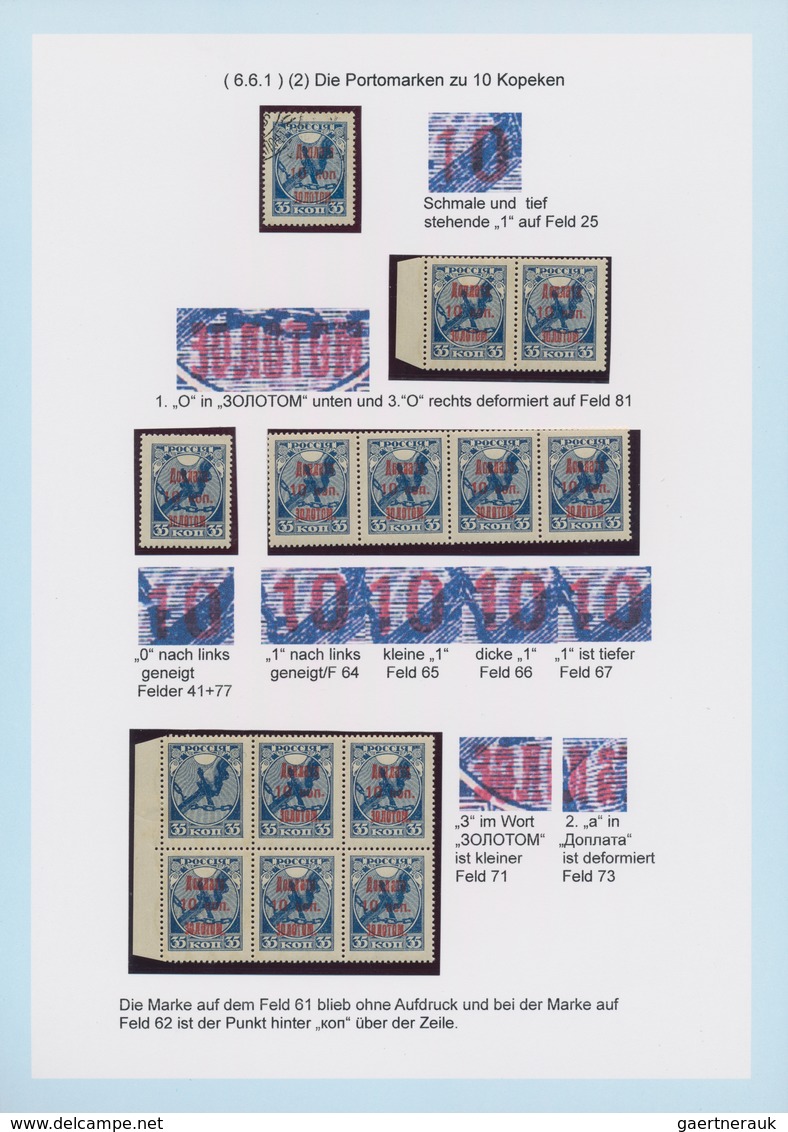 Russland: 1924/25 amazing and highly specialized collection of postage due stamps of all three issue