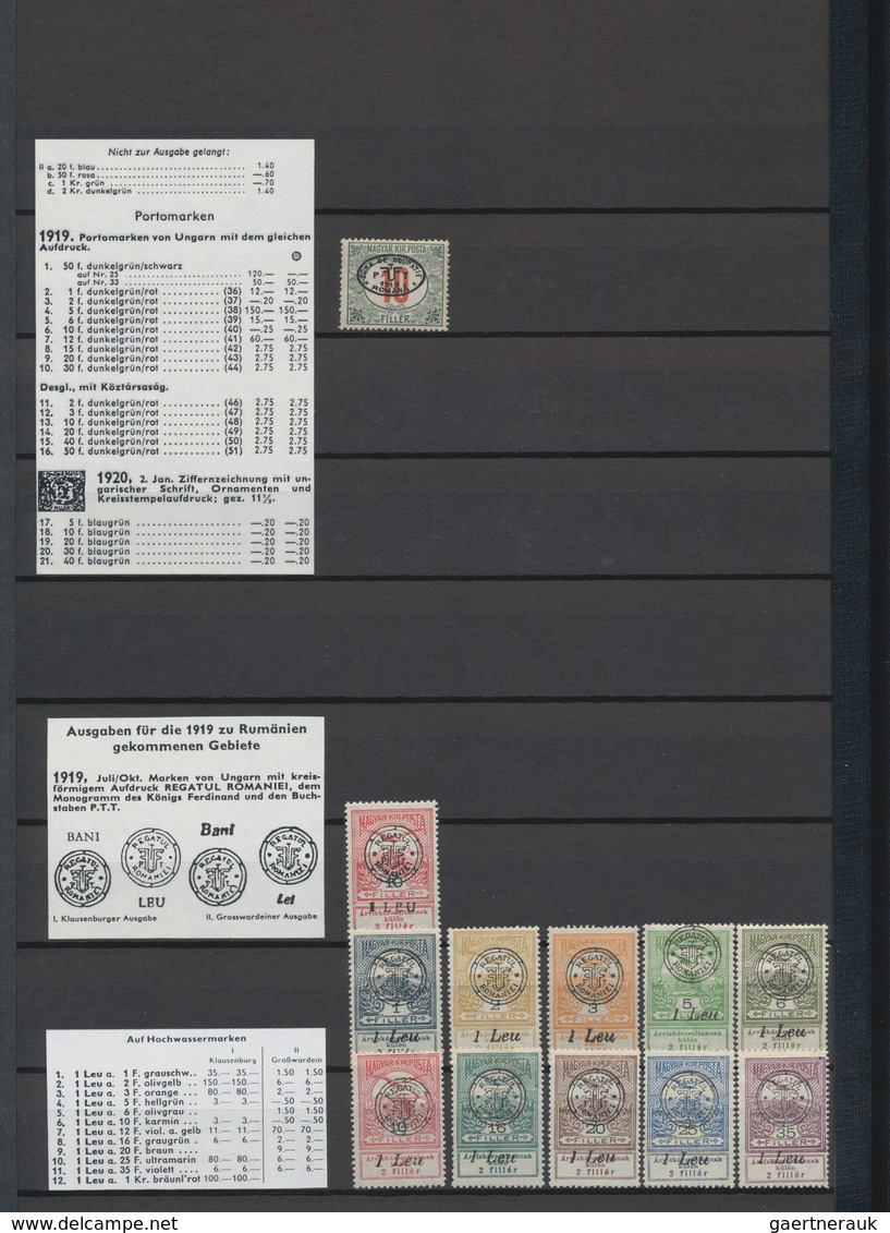 Ungarn - Besetzte Gebiete: 1919/1921, Mainly Mint Collection Of Arad, Baranya, Szeged, Debrecen, New - Otros & Sin Clasificación