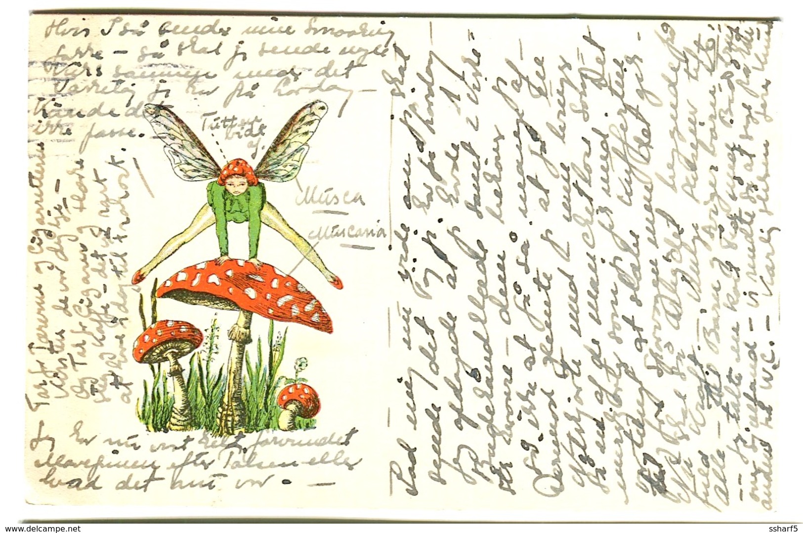 ELF MOSQUITO Atterrit Sur Amanite Tue-mouches Landing On Fly Agaric  FANTAISIE FANTASY Sent 1931 - Toxic Plants