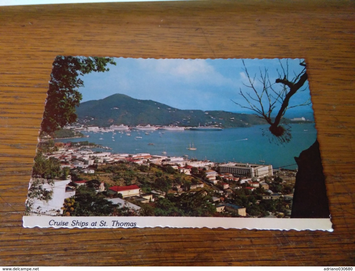 148640 MACCHIA AL CENTRO CARTOLINA POSTCARD  ST THOMAS U S VIRGIN ISLANDS - Isole Vergini Americane