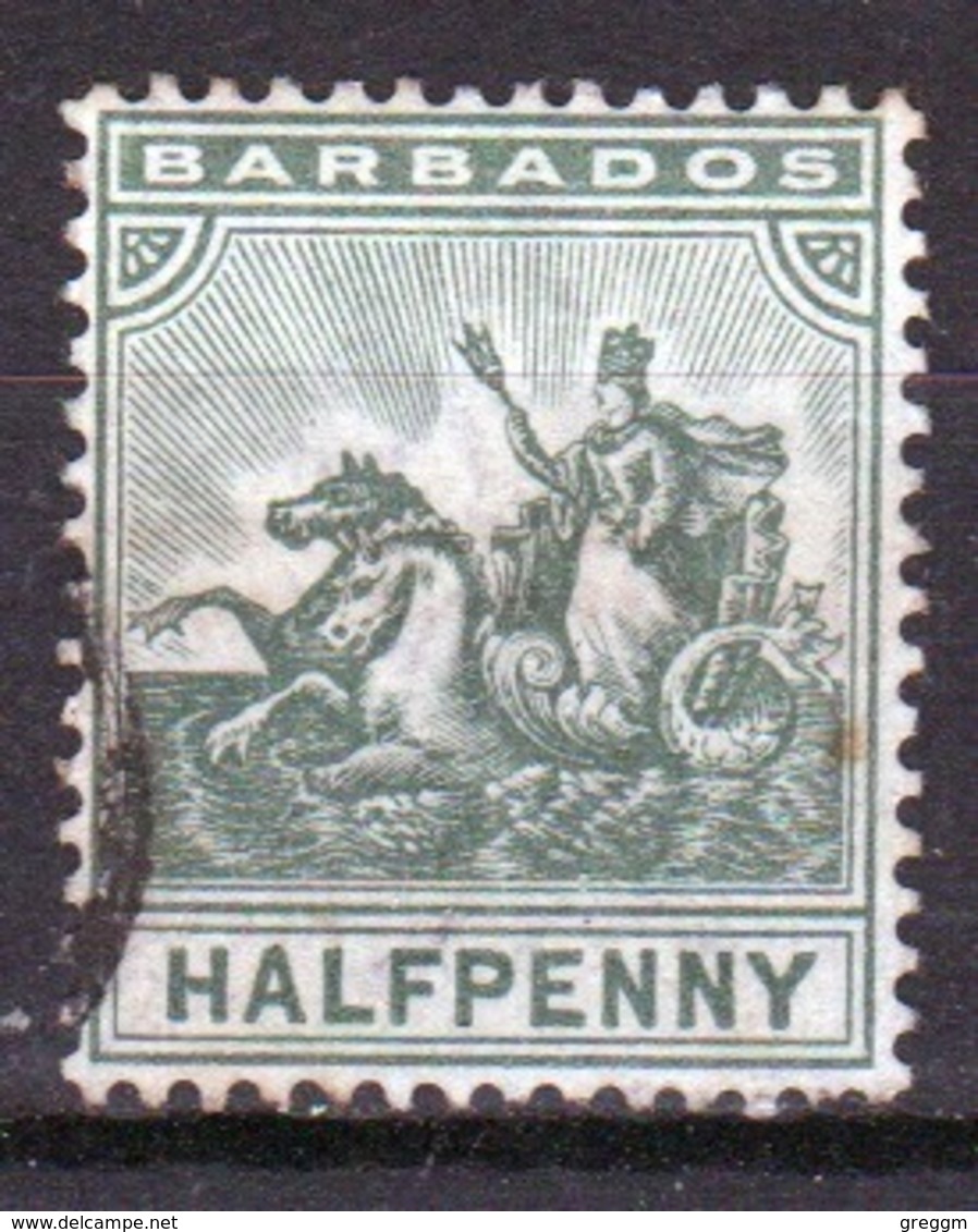 Barbados 1892 Queen Victoria Single Half Penny Stamp. - Barbados (...-1966)