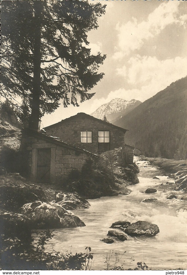 Paesaggio Di Montagna Con Casetta Sulla Riva Del Torrente, Posta Militare 111, Visto X Censura (25) - Altri & Non Classificati