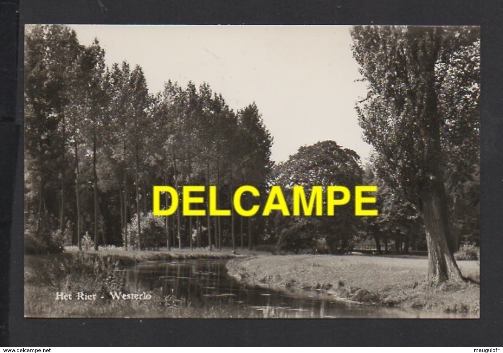 DD / BELGIQUE / PROVINCE D' ANVERS / WESTERLO / HET RIET / 1958 - Westerlo