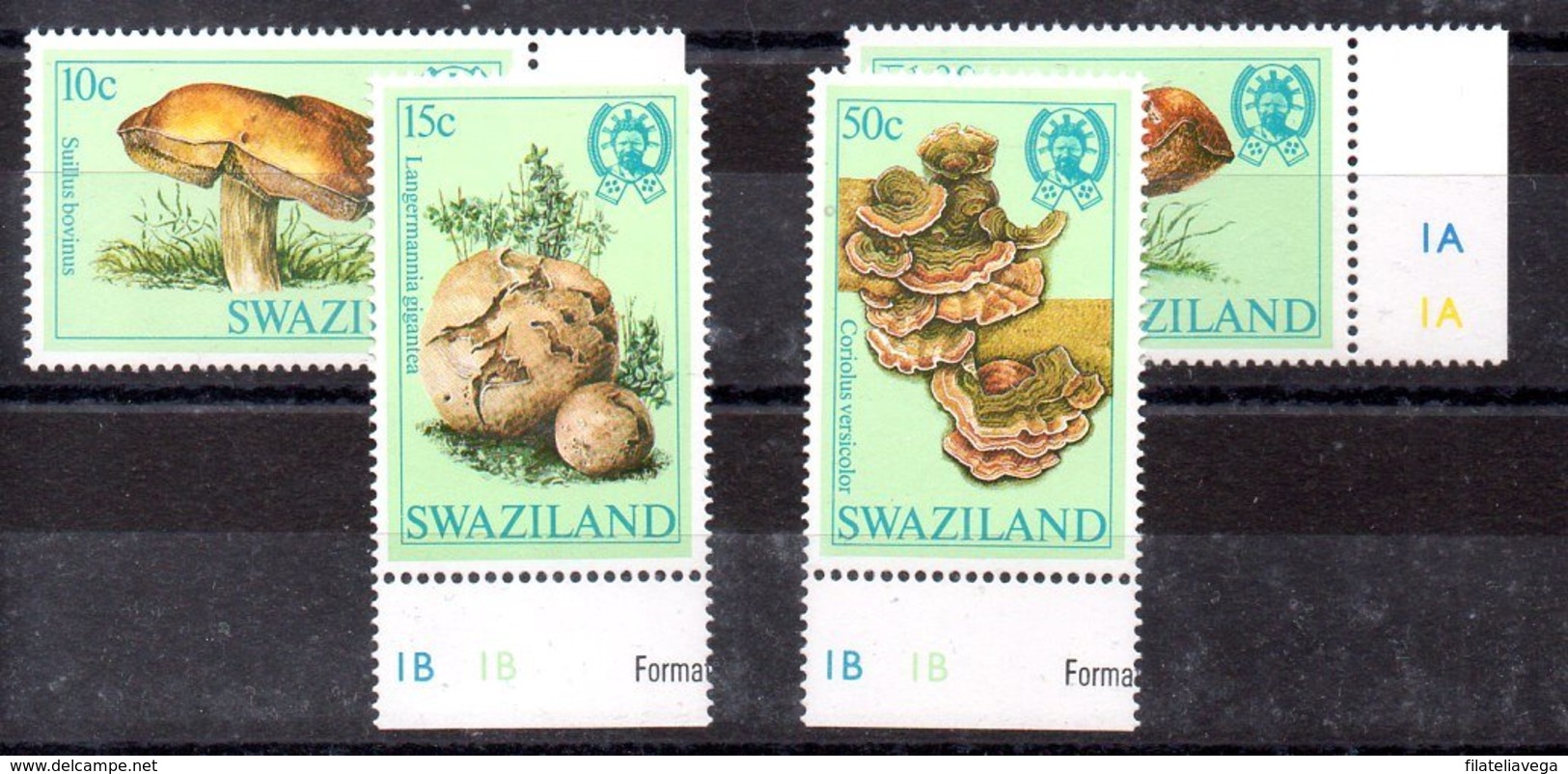 Swaziland Serie Completa N ºYvert 460/63 ** SETAS (MUSHROOMS) - Swaziland (1968-...)