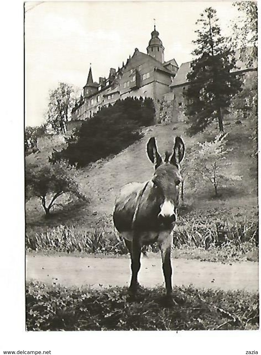 ALL.0132/ Schloss Eisenbach - Gaststätte "Burg-Post" - Lauterbach