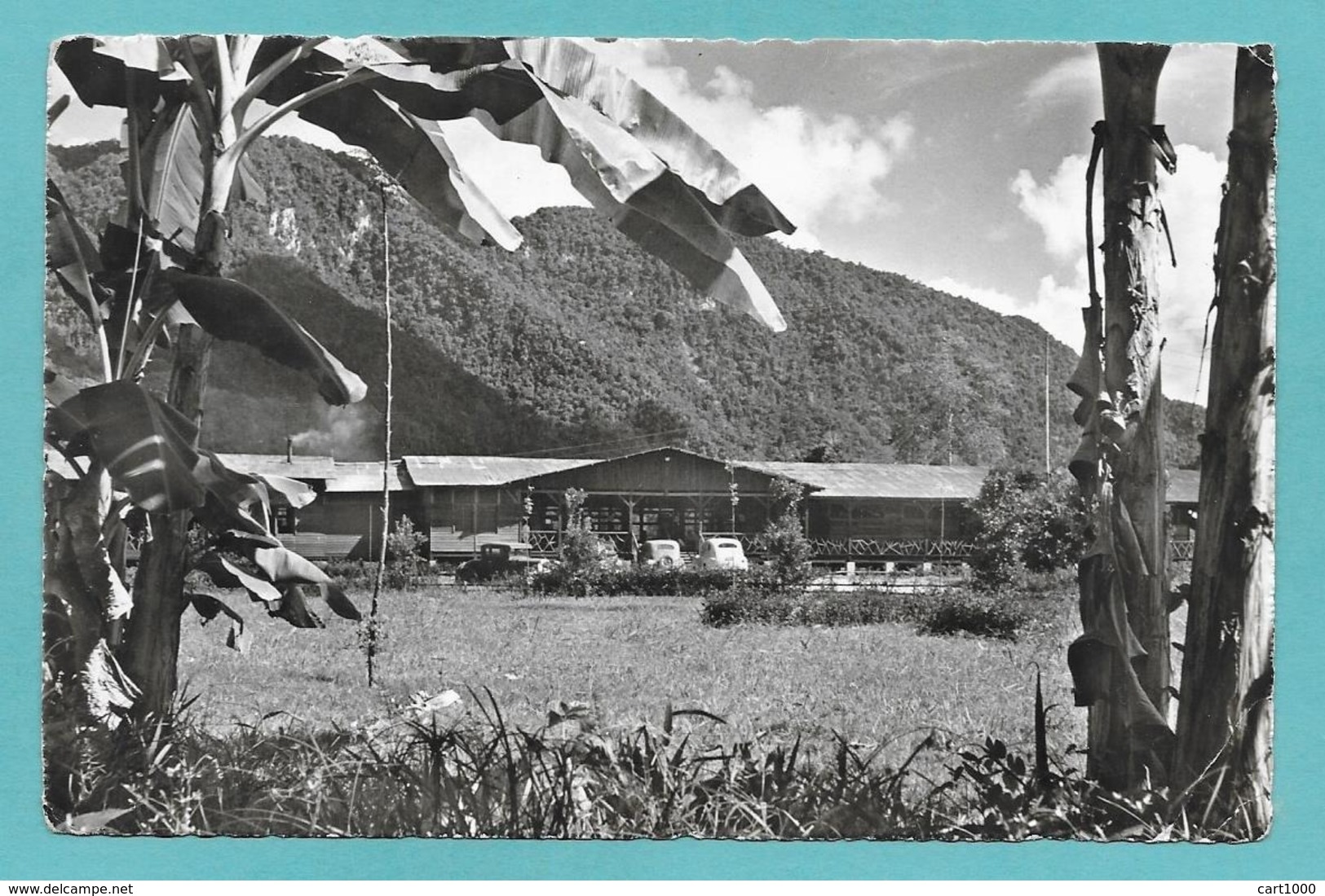 PERU' TINGO MARIA HOTEL DE TURISTAS 1959 - Perù