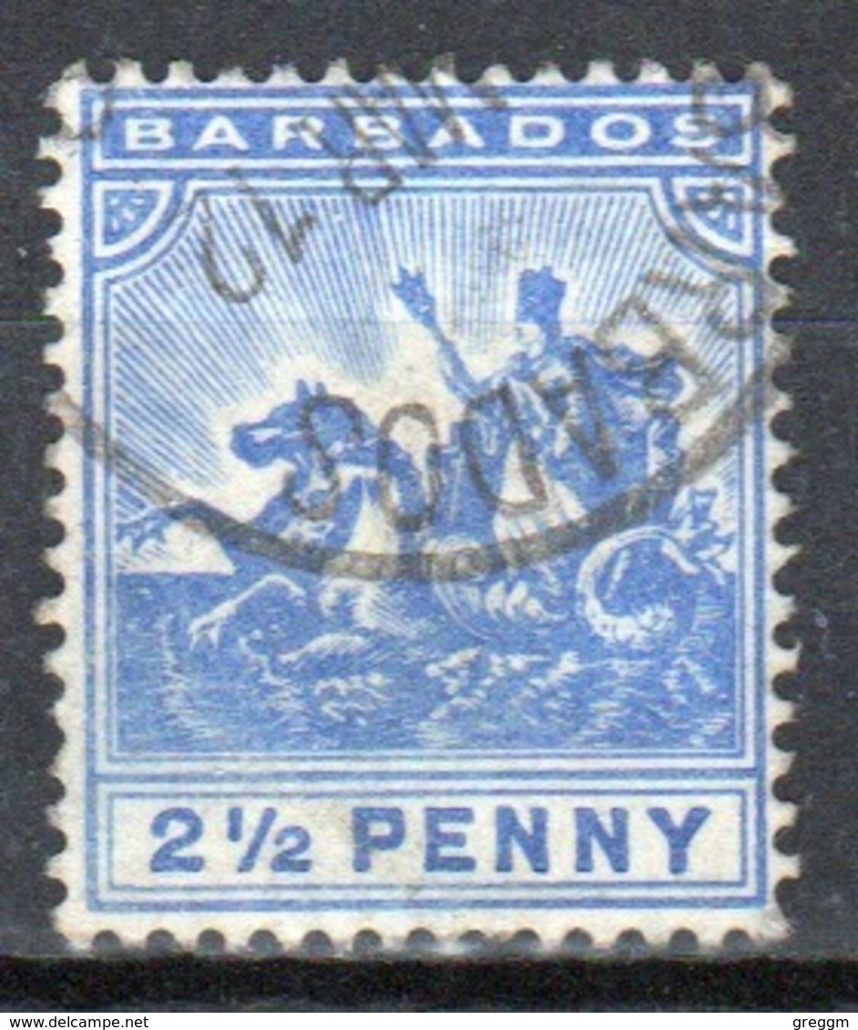 Barbados 1905 Badge Of The Colony Single 2½d Stamp. - Barbados (...-1966)