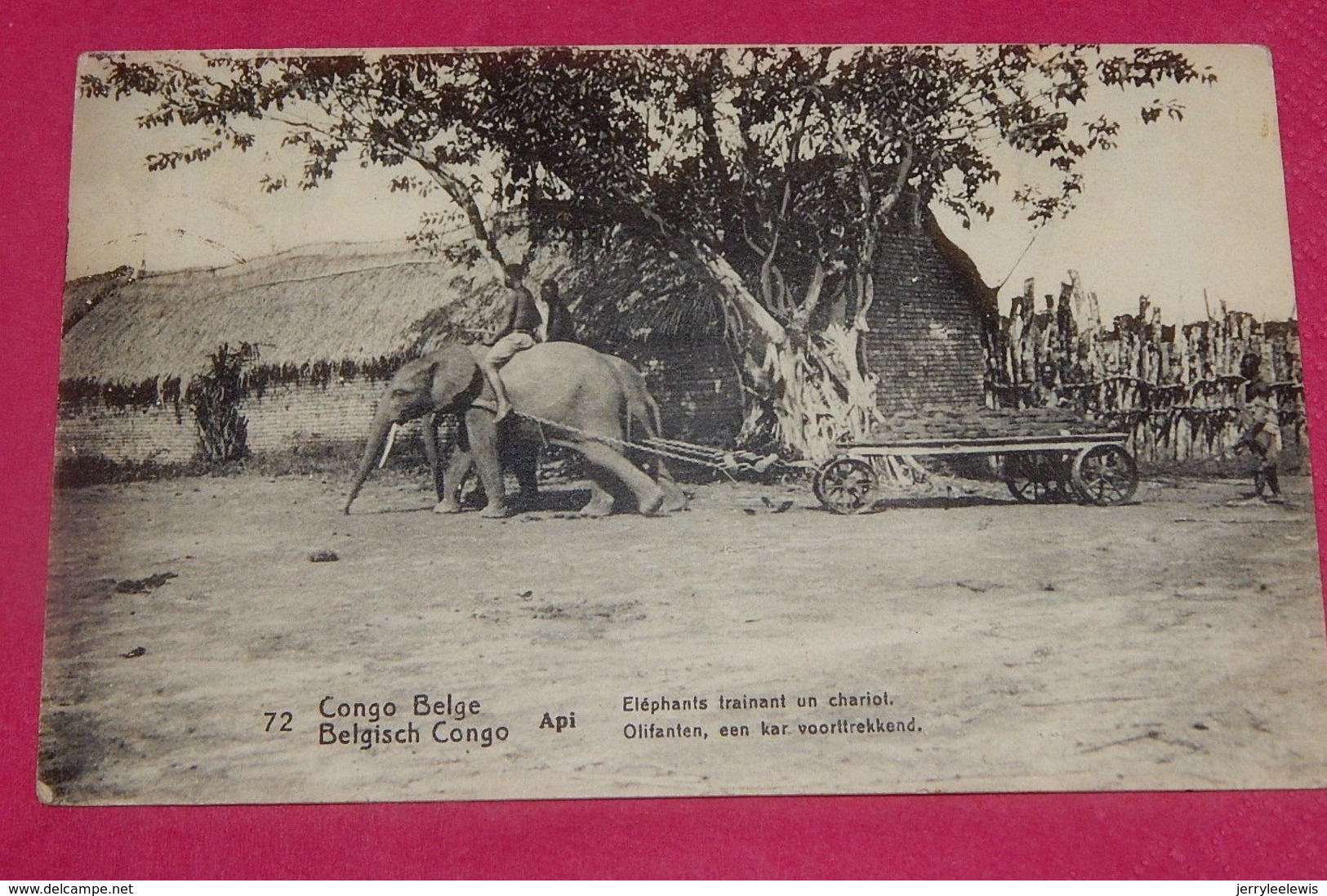 CONGO BELGE -  Eléphants Trainant Un Chariot  - Olifanten Een Kar Voorttrekkend - Congo Belga