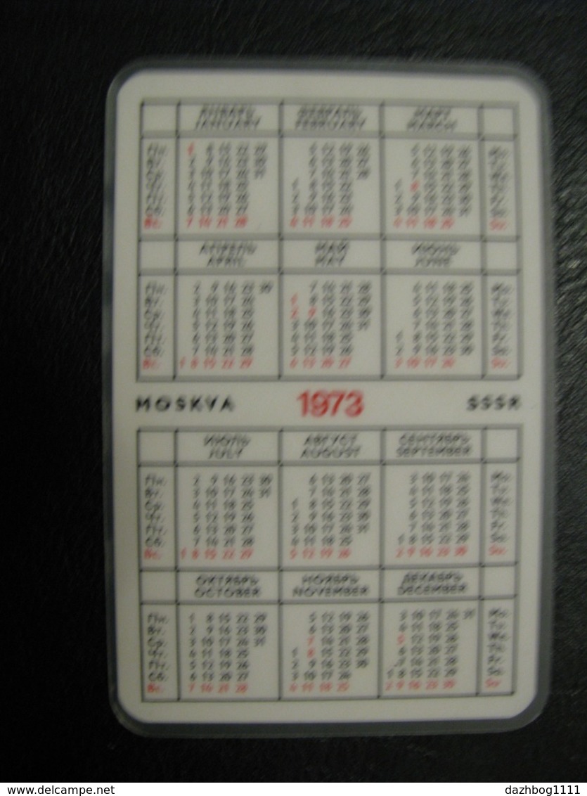 USSR Soviet Russia  Pocket Calendar Technopromexport 1973 Rare - Small : 1961-70