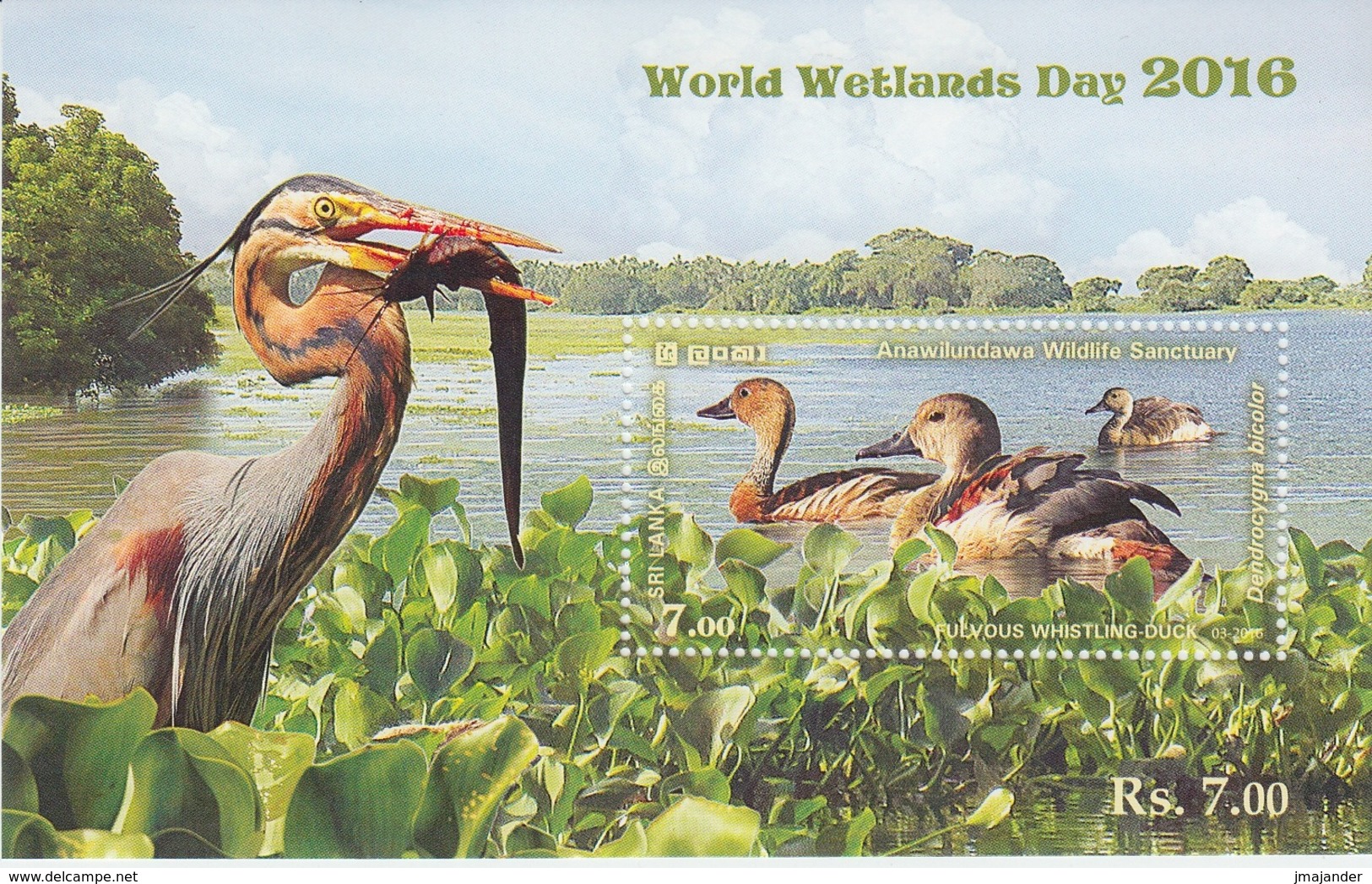 Sri Lanka 2016 - World Wetland Day: Ducks - Miniature Sheet ** MNH - Entenvögel