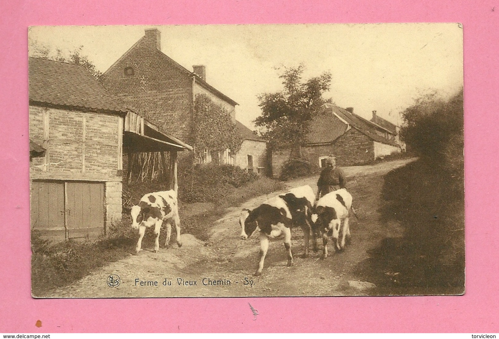 C.P. Sy =  Ferme  Du  Vieux  Chemin - Ferrières