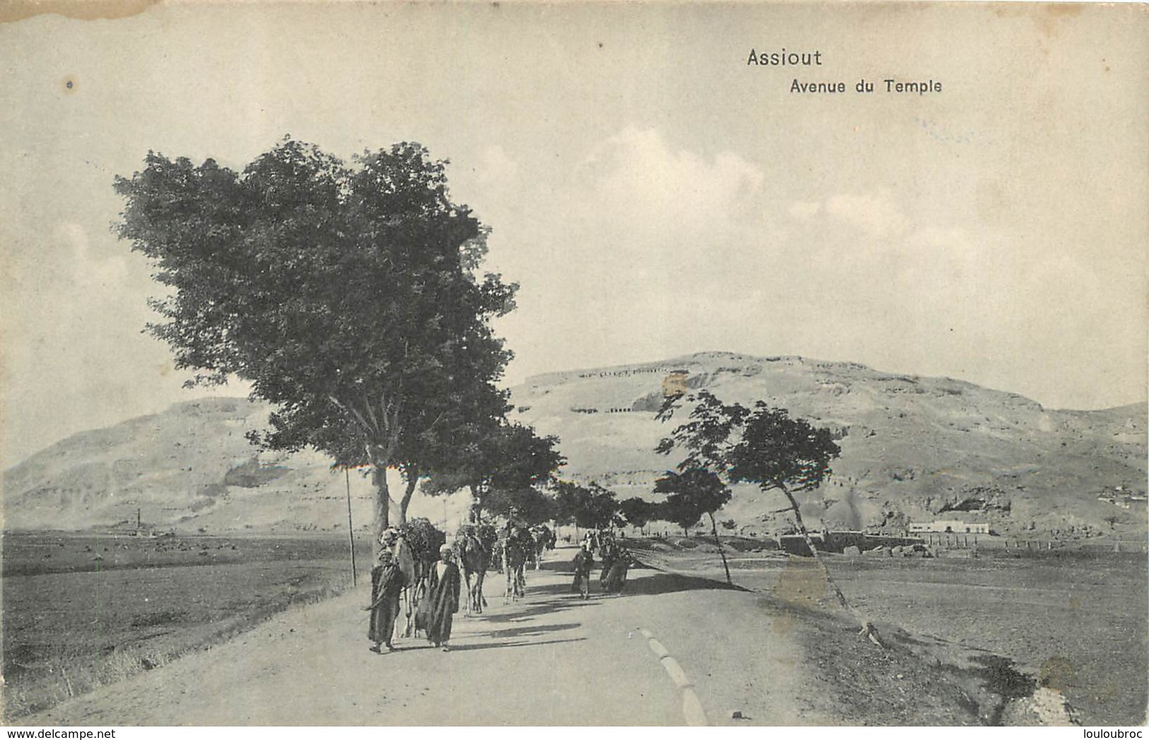 ASSIOUT AVENUE DU TEMPLE - Asyut
