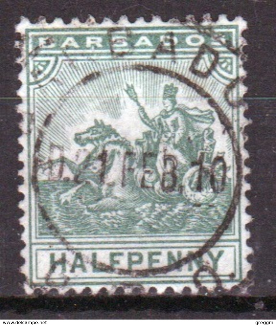 Barbados 1905 Seal Of The Colony Single One Half Penny Stamp. - Barbados (...-1966)