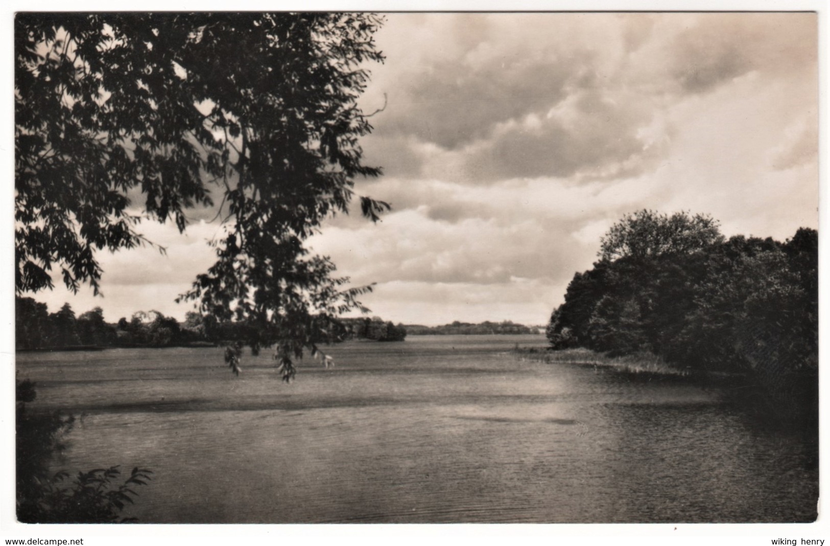 Rheinsberg Kleinzerlang - S/w Pälitzsee - Rheinsberg