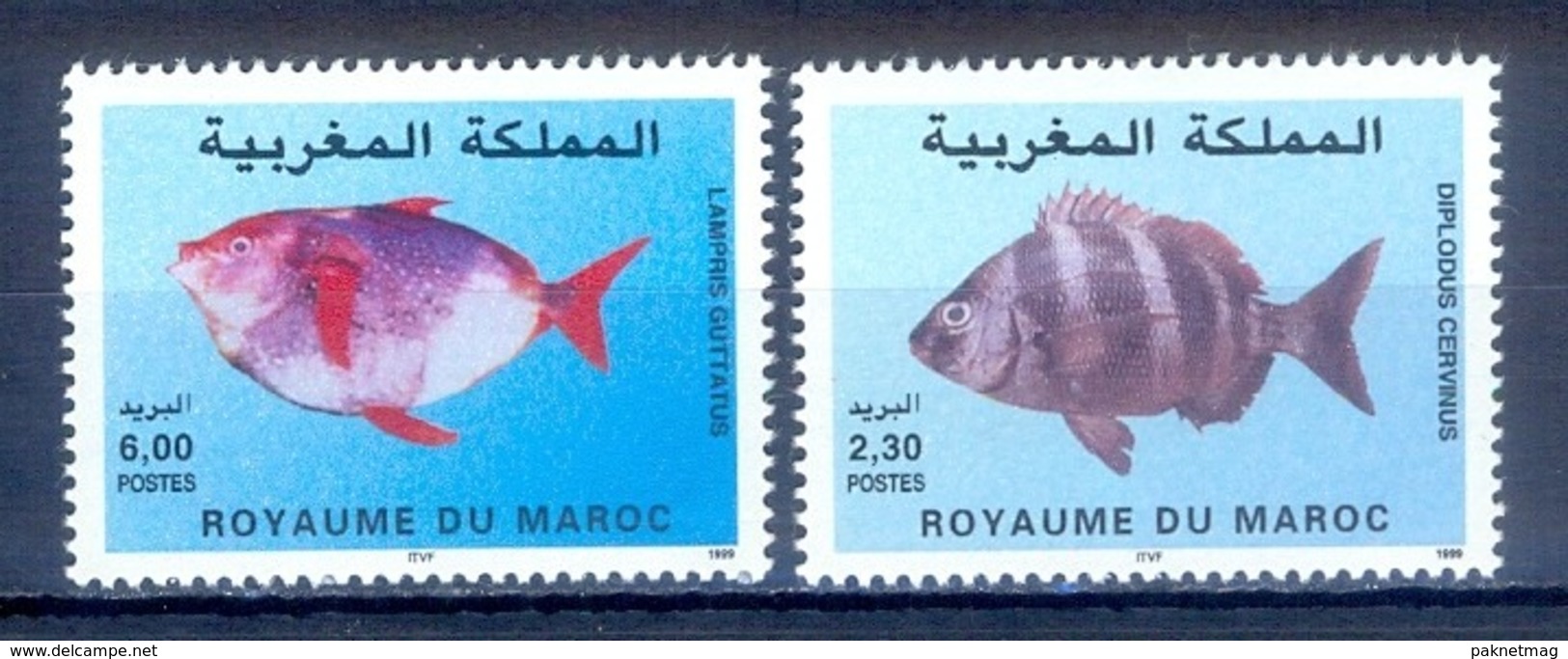 G112- MAROC MOROCCO 1999 MARINE LIFE FISHES FISH. - Fishes