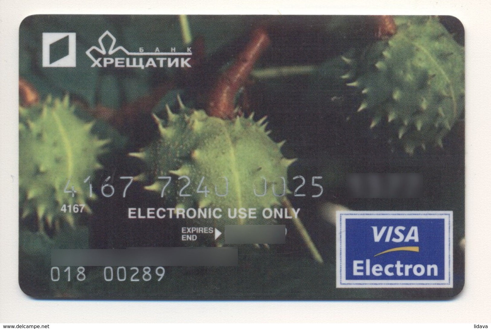 Credit Card Flora Chestnut Tree Bankcard Khreshchatyk Bank UKRAINE VISA Expired 09.2009 (more Than 10 Years) - Cartes De Crédit (expiration Min. 10 Ans)