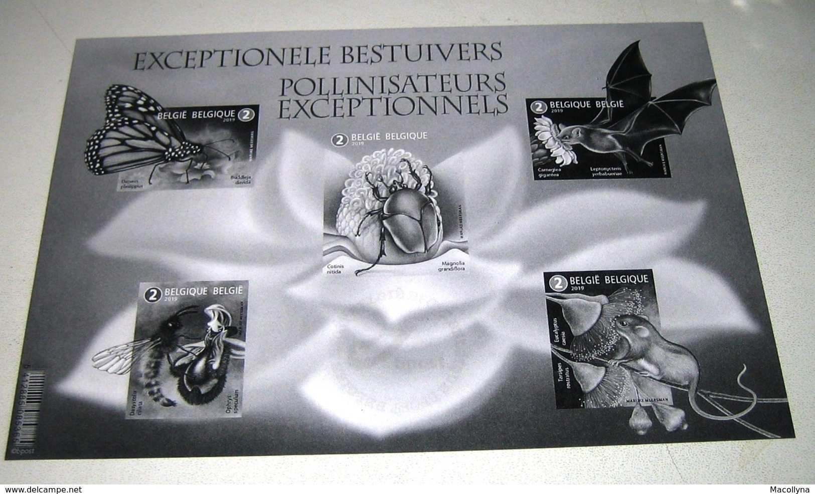 Zwart-Wit Blok Exceptionele Bestuivers / Pollinisateurs (Noir Et Blanc) Black & White Sheet - B&W Sheetlets, Courtesu Of The Post  [ZN & GC]