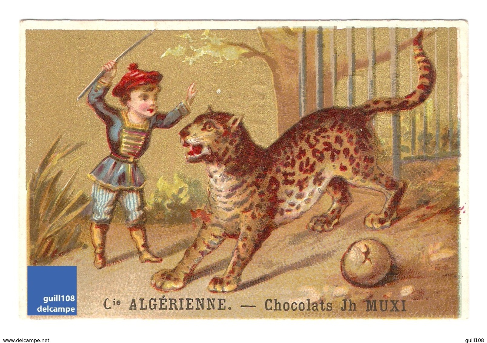 Chromo Chocolat Cie Algérienne Muxi Cirque Dompteur Dresseur Guépard French Victorian Trade Card Cheetah Circus A15-64 - Sonstige & Ohne Zuordnung