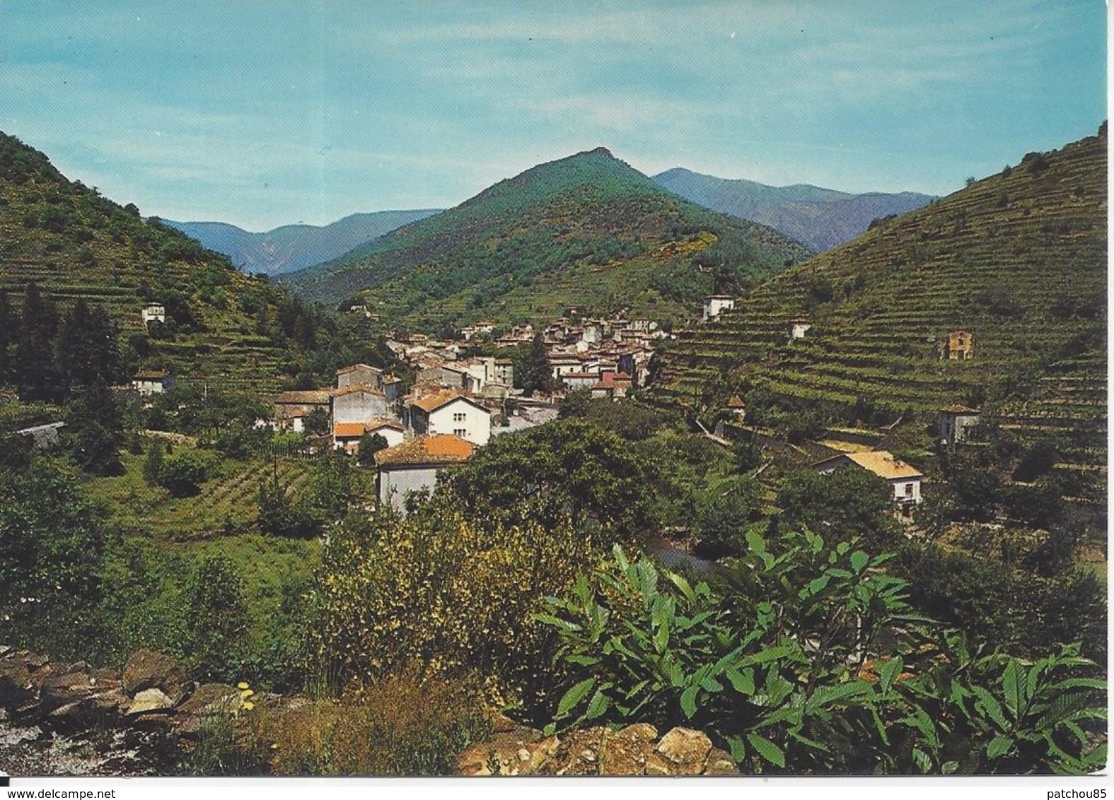 CPM France 30 Gard Valleraugue Vue Générale Du Village - Valleraugue