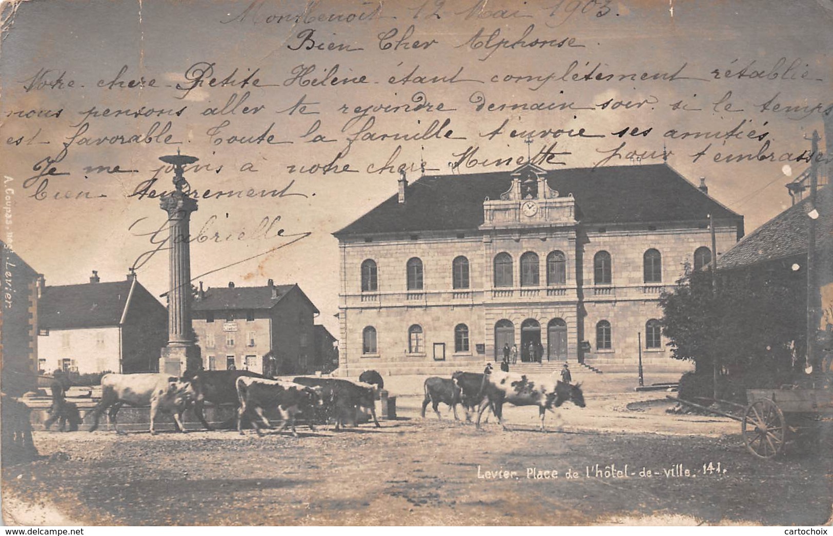 25 - Levier - Carte Photo - Place De L'Hôtel De Ville Animée Par Un Troupeau De Bovins - Other & Unclassified