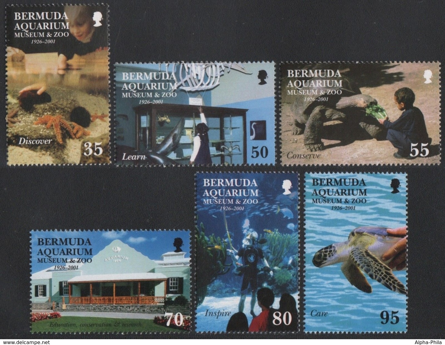 Bermuda 2001 - Mi-Nr. 799-804 ** - MNH - Museum & Zoo - Sonstige - Amerika