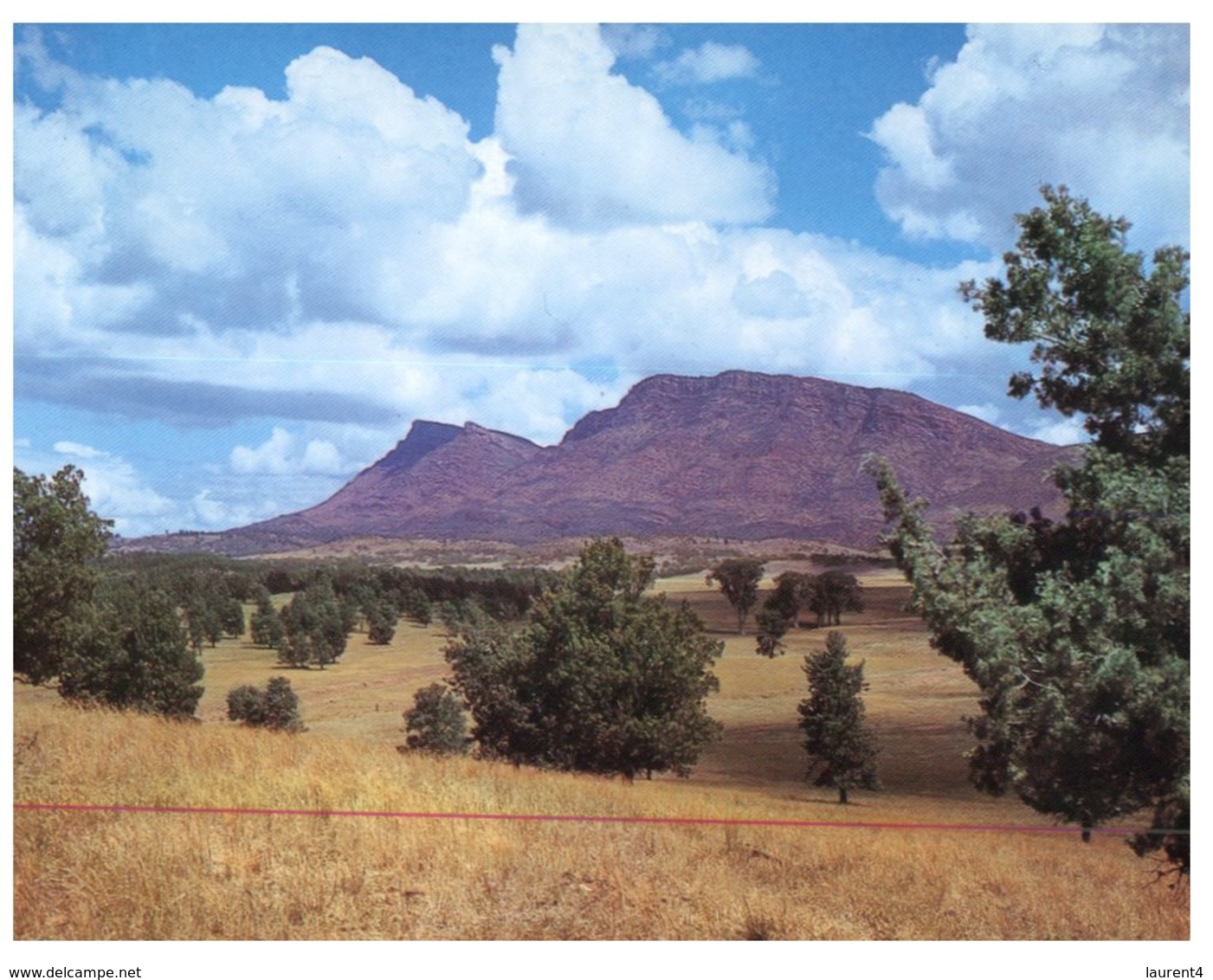 (ED 9) Australia - SA - Wilpena Station - Kakadu