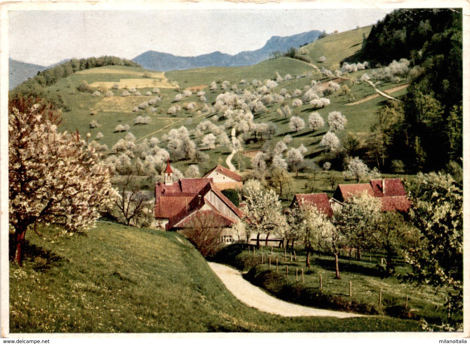 Im Baselbiet Bei Waldenburg * 1959 - Waldenburg