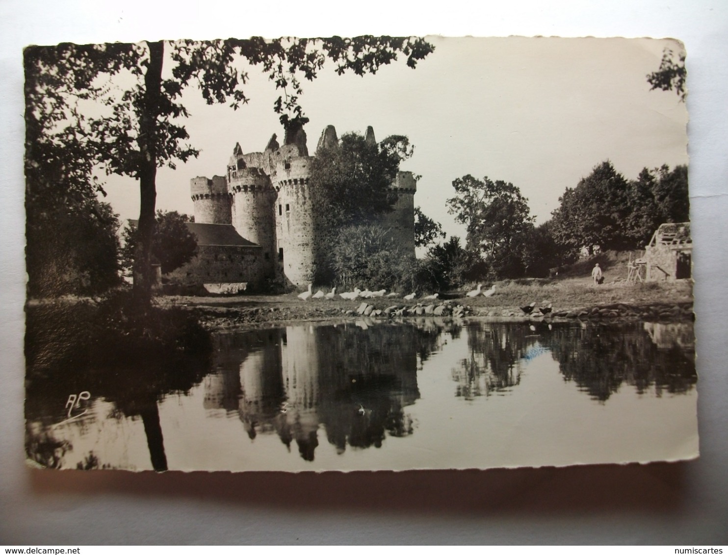 Carte Postale Argenton Chateau (79) Le Chateau D'Ebeaupinay (Petit Format Non Circulée) - Argenton Chateau