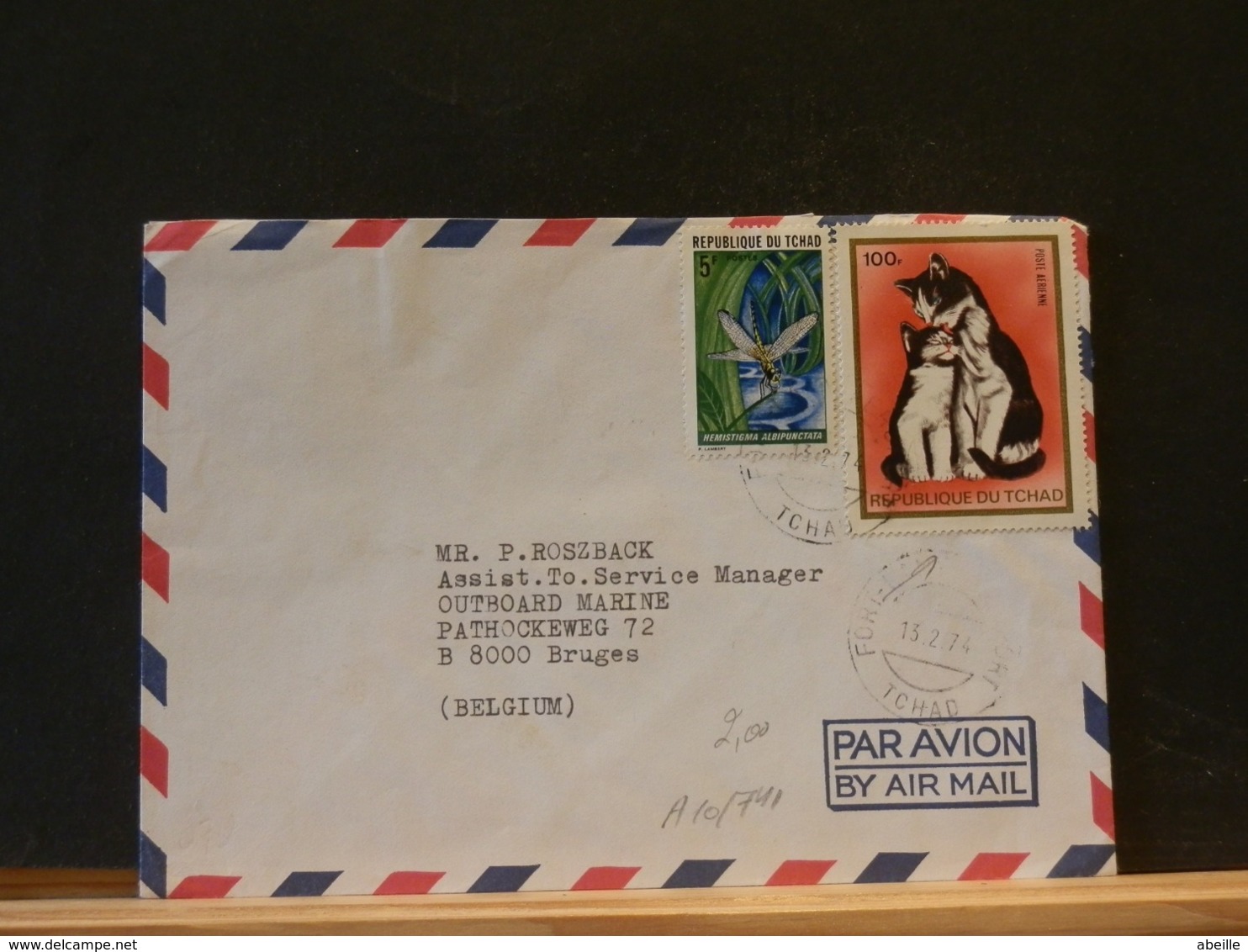 A10/741  LETTRE  TCHAD  POUR LA BELG. - Hauskatzen