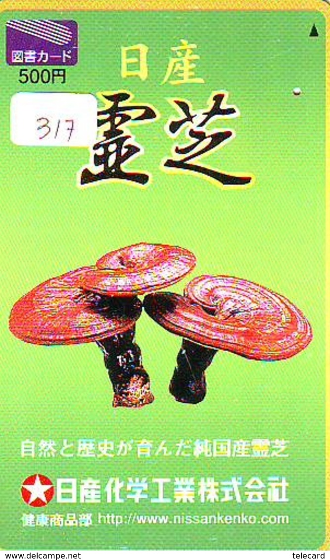 MUSHROOM CHAMPIGNON SETA Fungo Paddestoel (317) - Flores