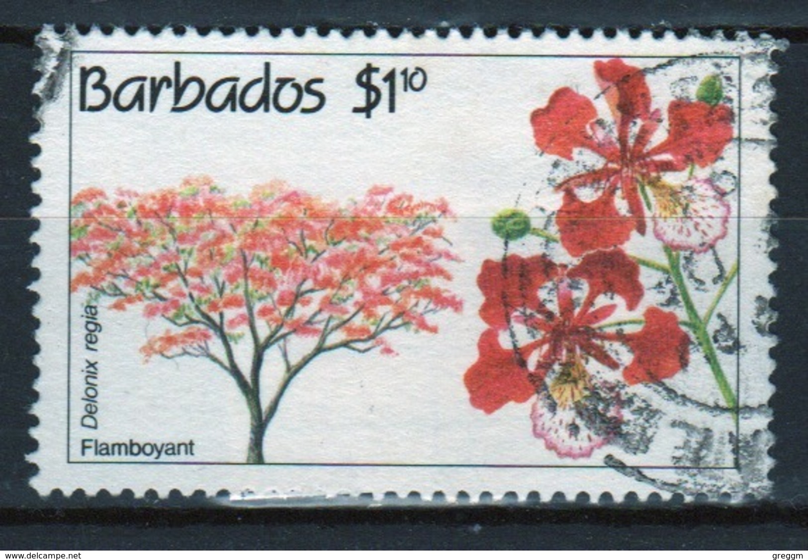 Barbados Single $1.10c Stamp From The 1992 Conservation Of Flowering Trees Series. - Barbados (1966-...)