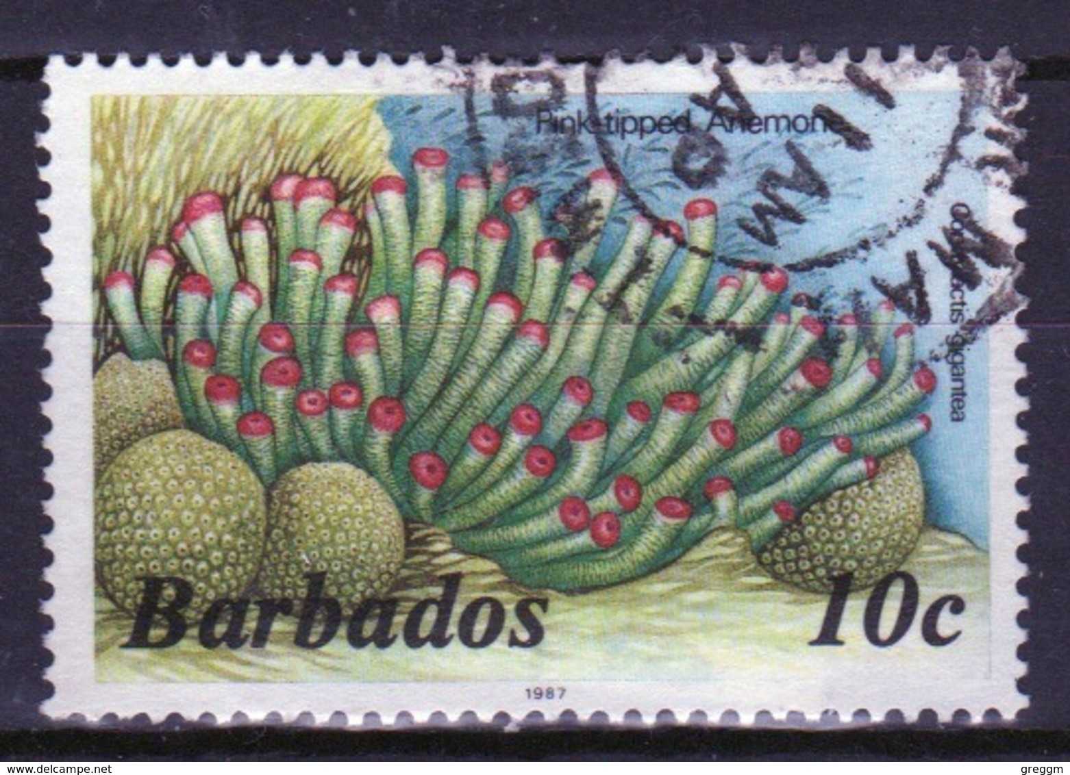 Barbados Single 10c Stamp From The 1985 Marine Life Series. - Barbados (1966-...)