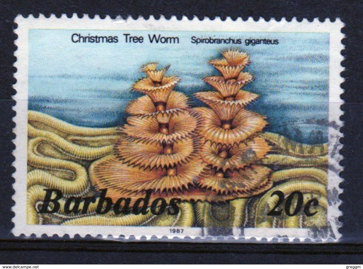 Barbados Single 20c Stamp From The 1985 Marine Life Series. - Barbados (1966-...)