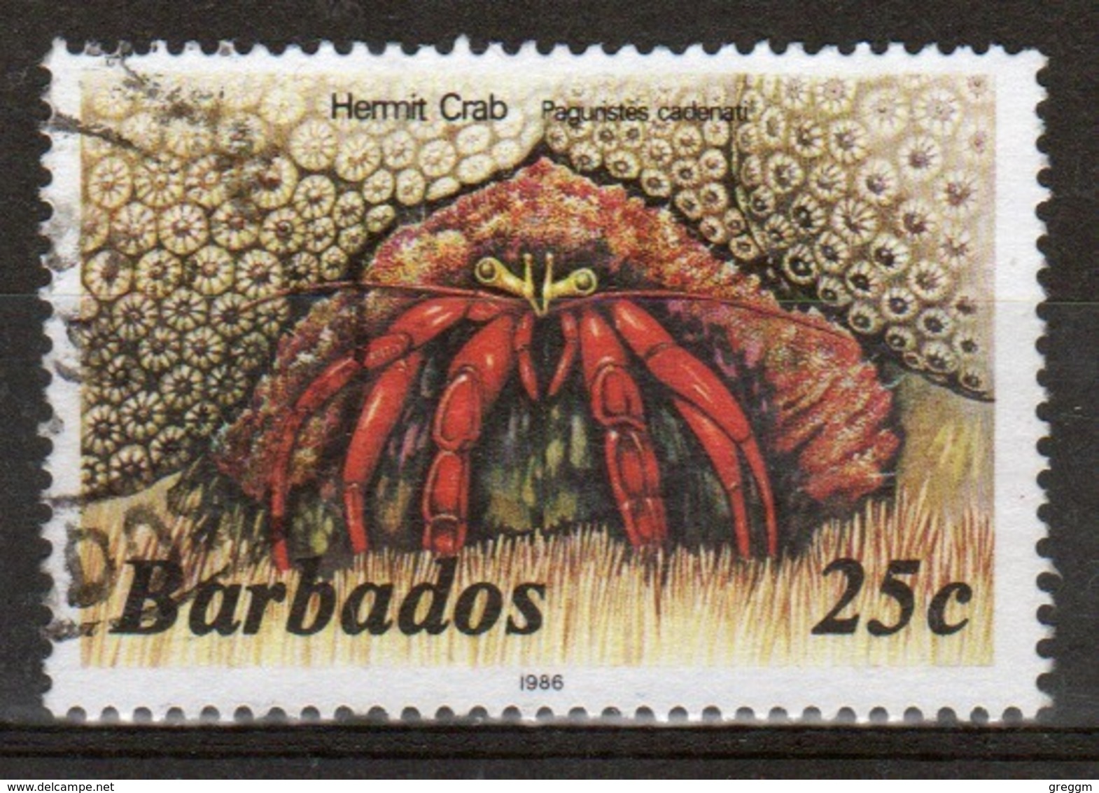 Barbados Single 25c Stamp From The 1985 Marine Life Series. - Barbados (1966-...)