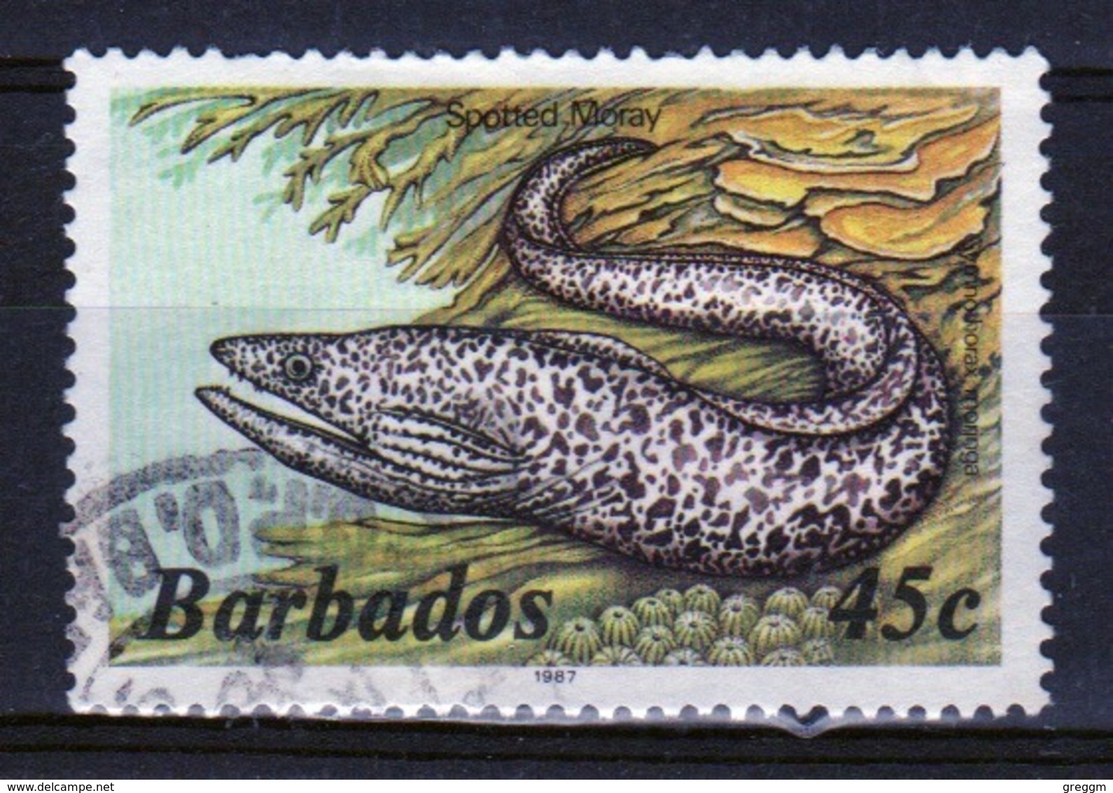 Barbados Single 45c Stamp From The 1985 Marine Life Series. - Barbados (1966-...)