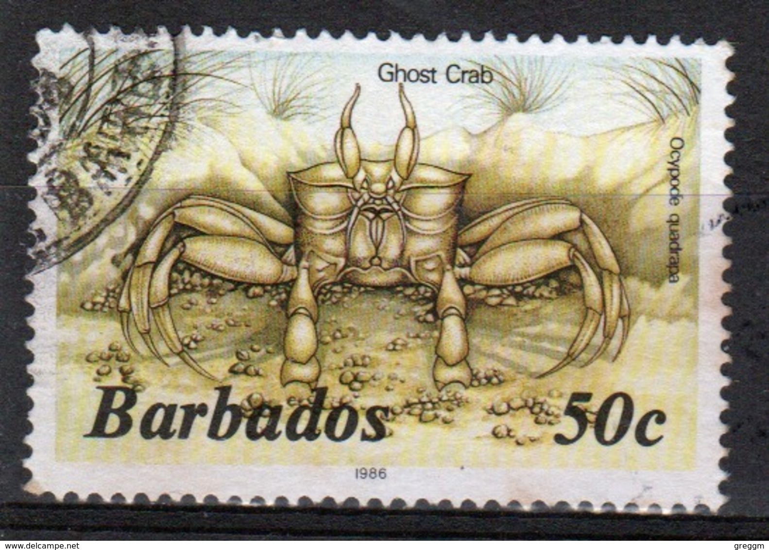 Barbados Single 50c Stamp From The 1985 Marine Life Series. - Barbados (1966-...)