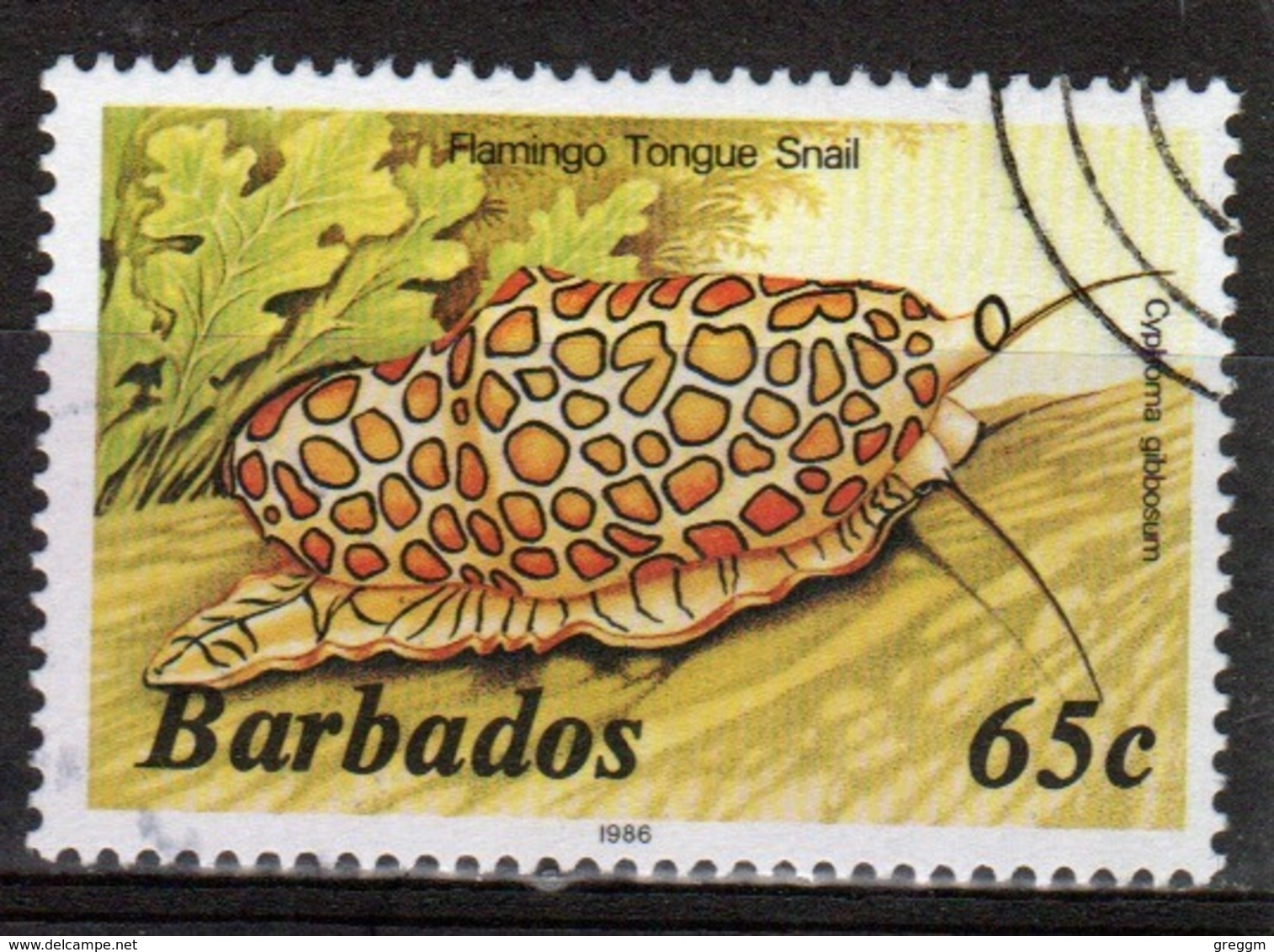 Barbados Single 65c Stamp From The 1985 Marine Life Series. - Barbados (1966-...)