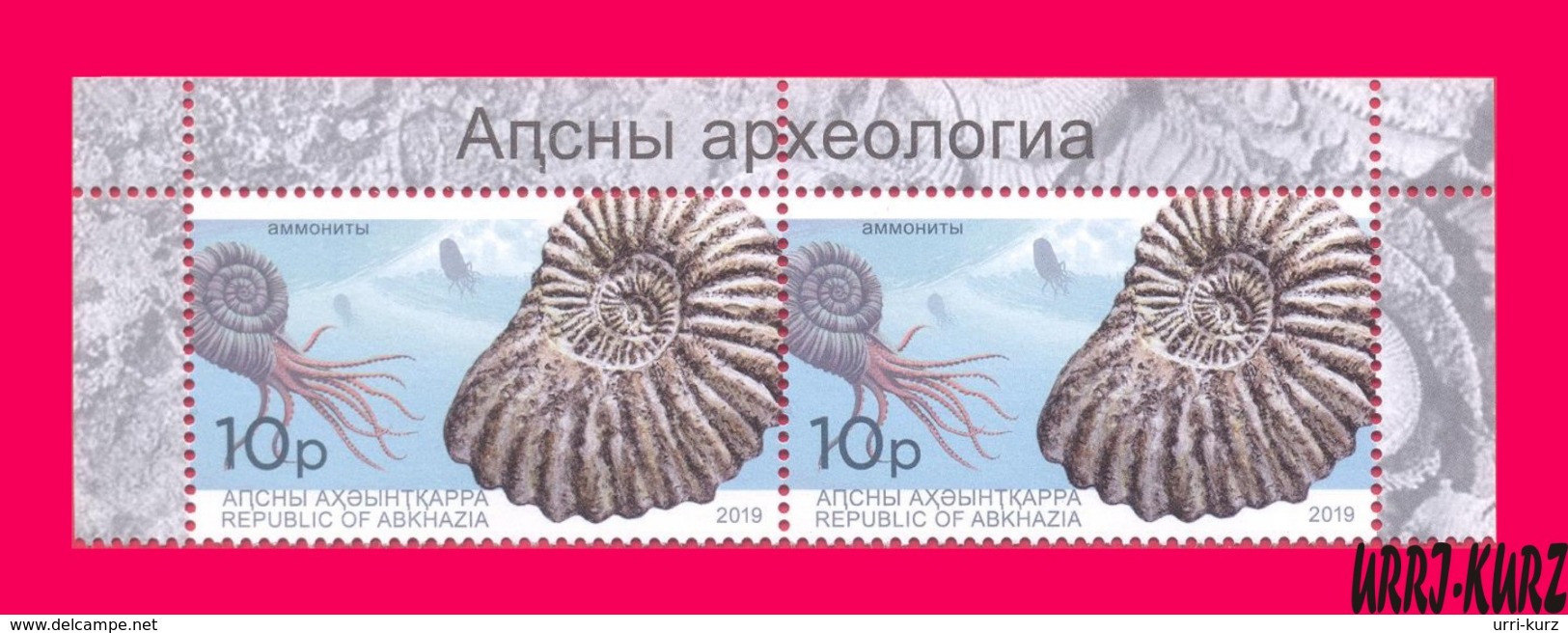 ABKHAZIA 2019 Fauna Marine Shell Fossils Extinct Cephalopods Ammonites Archaeology Pair MNH - Fossili