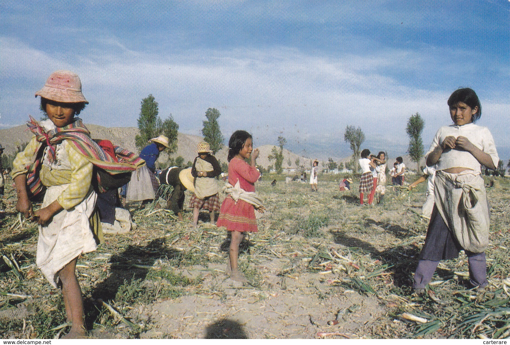 America,republica Del PERU,PEROU,AREQUIPA,BIDONVILLE,LE TRAVAIL DES ENFANTS,RARE - Perú