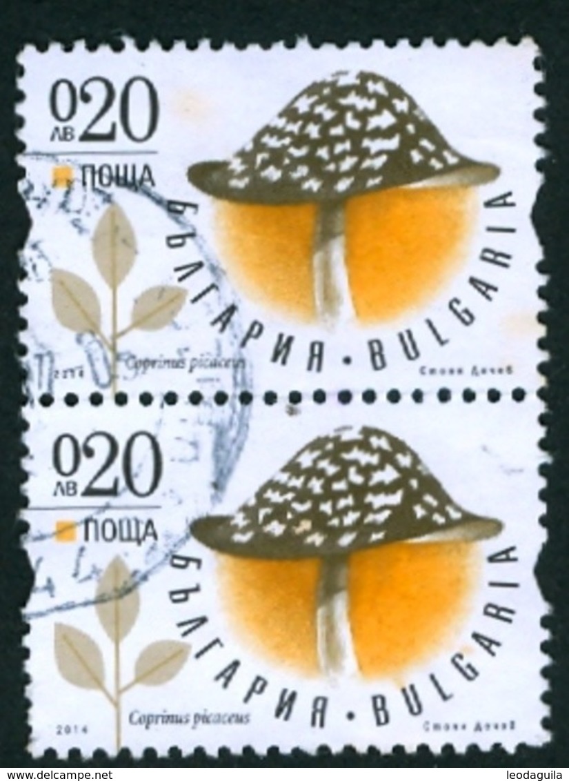 BULGARIA 2014  -  MUSHROOMS -  VERT PAIR CIRCULATED - Used Stamps