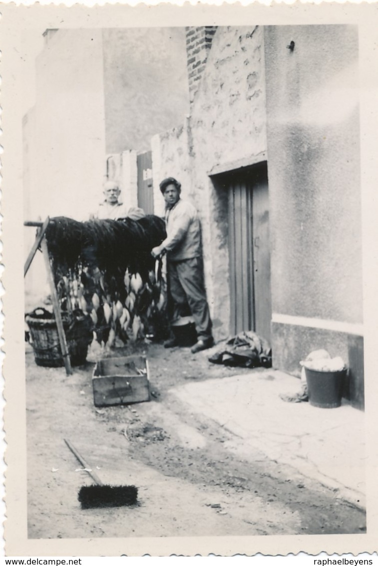 Snapshot Berck Plage Juin 1937 Marins Pêcheurs Filet Poisson Rue Fish Balai - Métiers