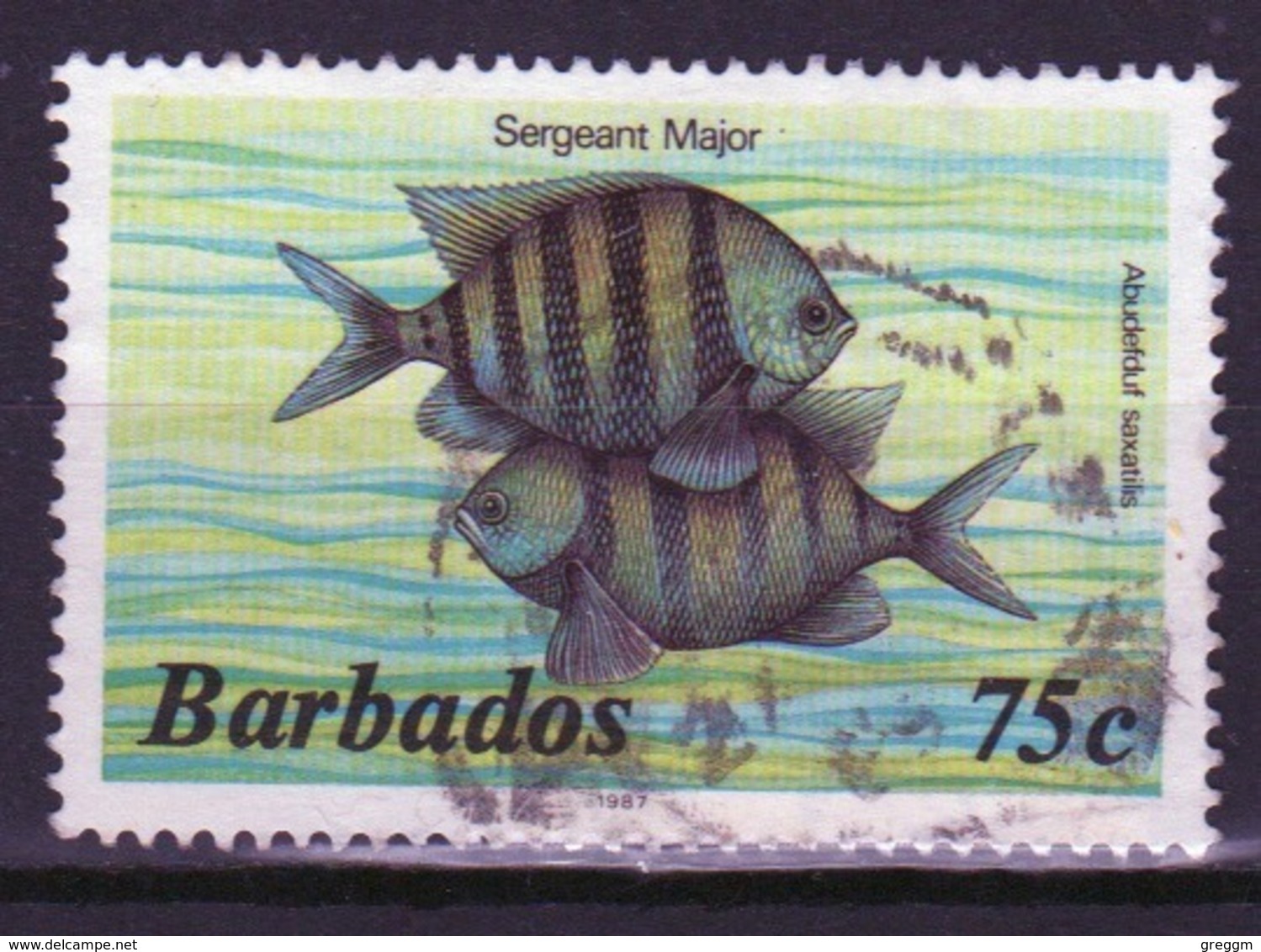 Barbados Single 75c Stamp From The 1985 Marine Life Series. - Barbados (1966-...)