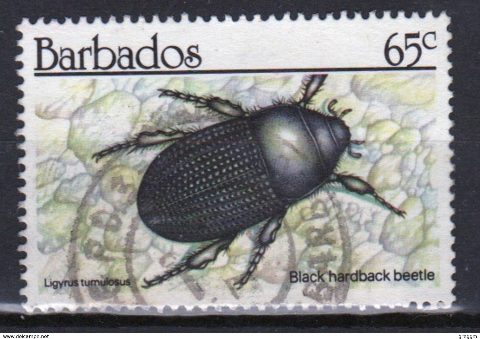 Barbados Single 65c Stamp From The 1990 Insects Series. - Barbados (1966-...)