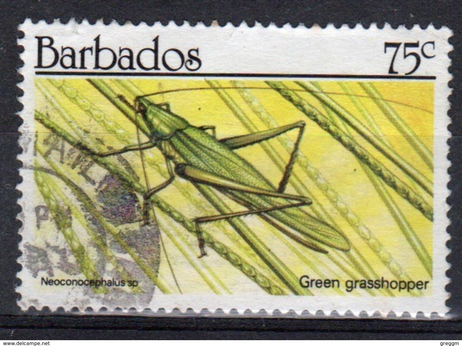 Barbados Single 75c Stamp From The 1990 Insects Series. - Barbados (1966-...)